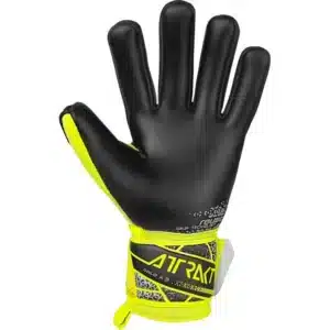 Reusch Attrakt Gold X NC Junior